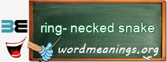 WordMeaning blackboard for ring-necked snake